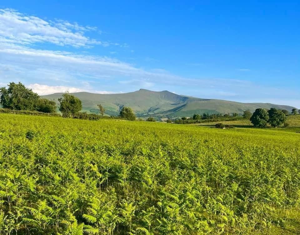 Little Cottage Of The Beacons Brecon Exterior foto