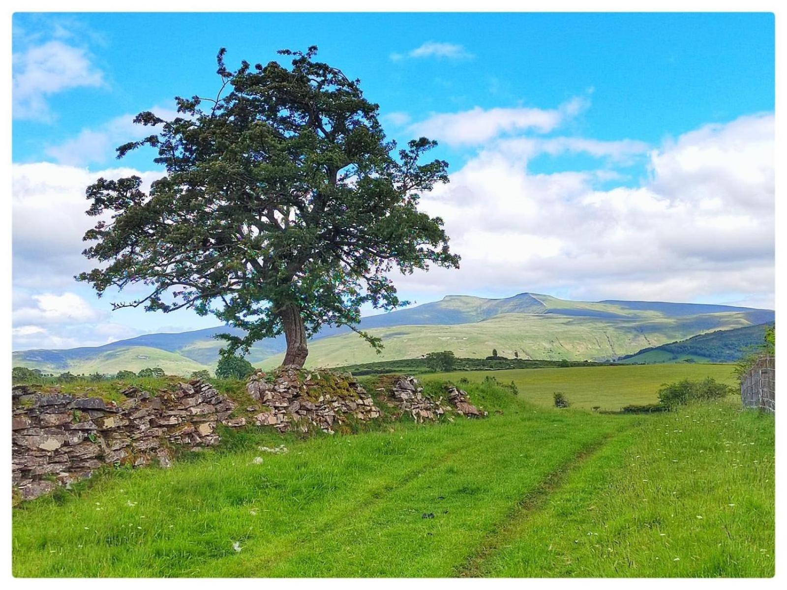 Little Cottage Of The Beacons Brecon Exterior foto